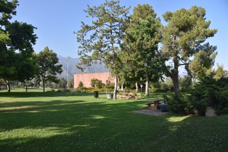 Enlarge photo 48