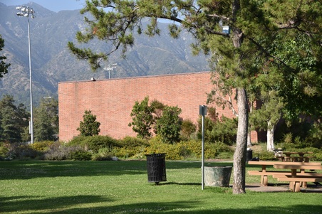 Enlarge photo 52