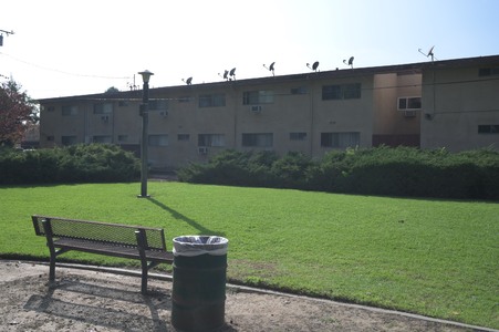 Enlarge photo 10