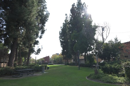 Enlarge photo 15