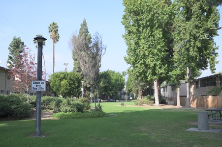 Enlarge photo 25