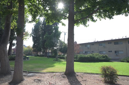 Enlarge photo 27