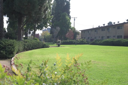 Enlarge photo 30