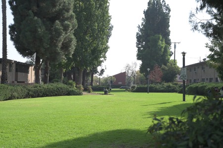 Enlarge photo 31