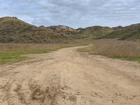 Enlarge photo 28
