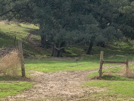 Enlarge photo 94