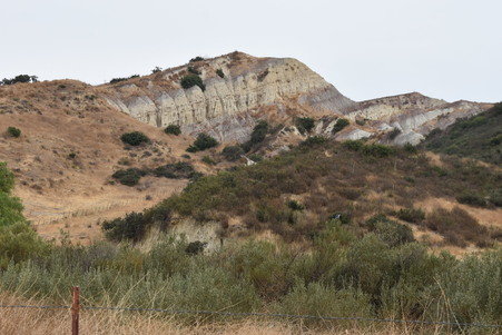 Enlarge photo 108