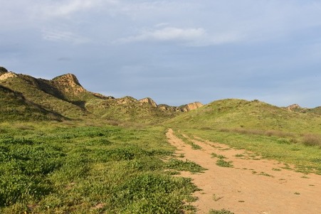 Enlarge photo 110