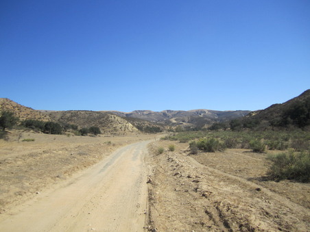 Enlarge photo 111