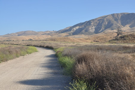 Enlarge photo 6