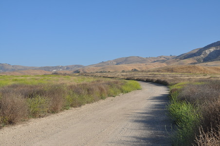 Enlarge photo 15