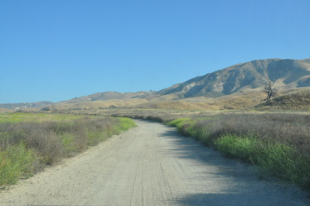 Enlarge photo 16