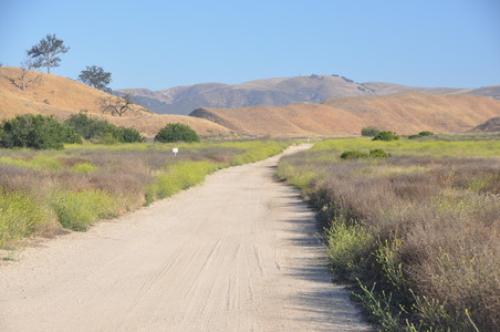 Enlarge photo 20