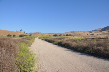 Enlarge photo 21