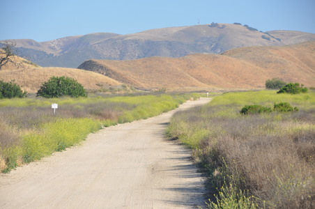 Enlarge photo 24