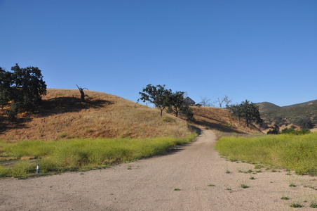 Enlarge photo 32