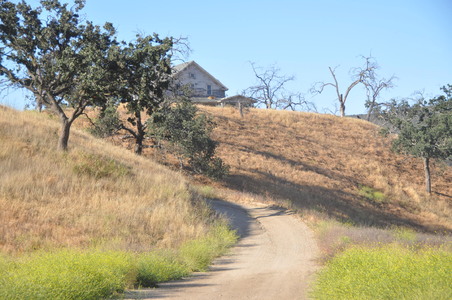 Enlarge photo 33