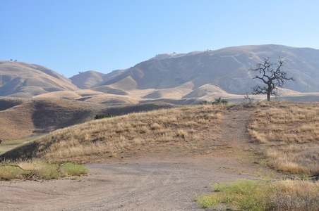 Enlarge photo 37