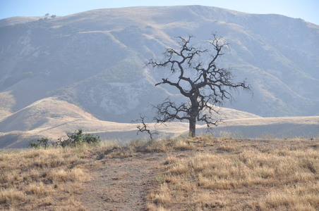 Enlarge photo 38