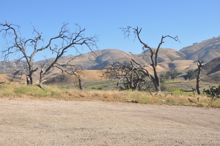 Enlarge photo 39