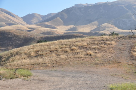 Enlarge photo 41