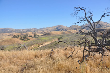 Enlarge photo 44