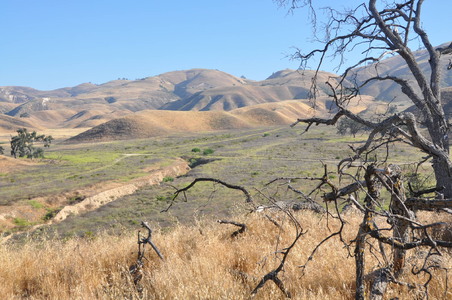 Enlarge photo 45