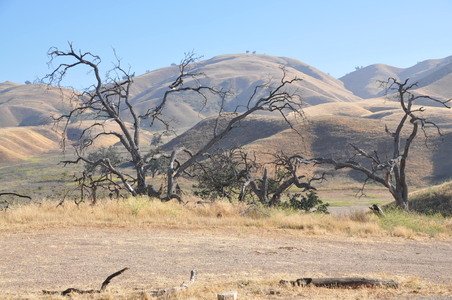 Enlarge photo 47