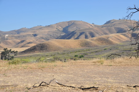 Enlarge photo 48
