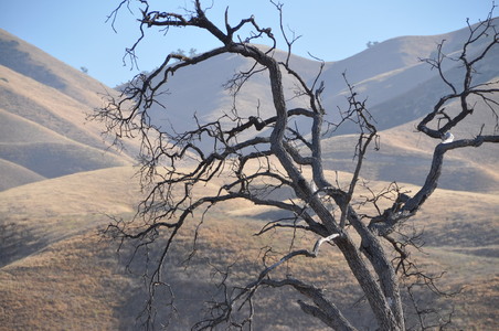 Enlarge photo 49