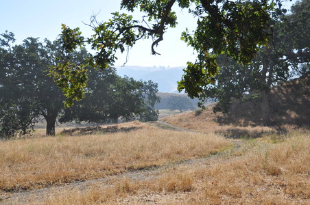 Enlarge photo 51