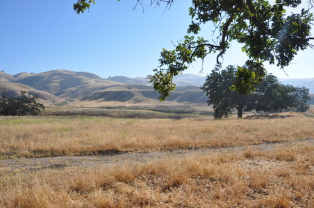 Enlarge photo 53