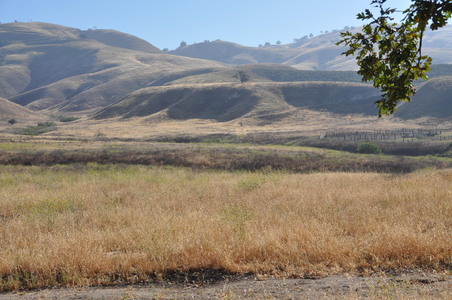 Enlarge photo 54