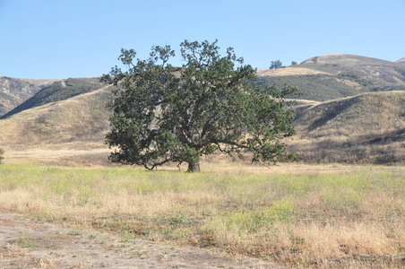 Enlarge photo 56