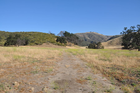 Enlarge photo 57