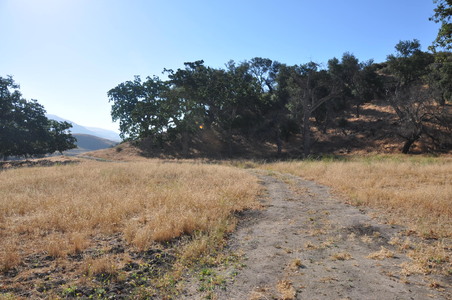 Enlarge photo 58