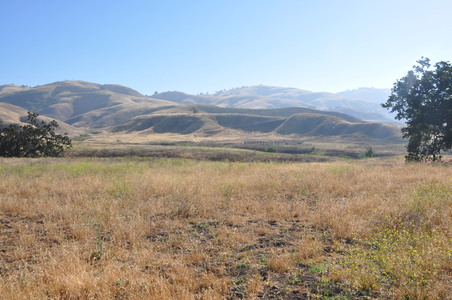 Enlarge photo 59