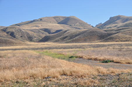 Enlarge photo 65
