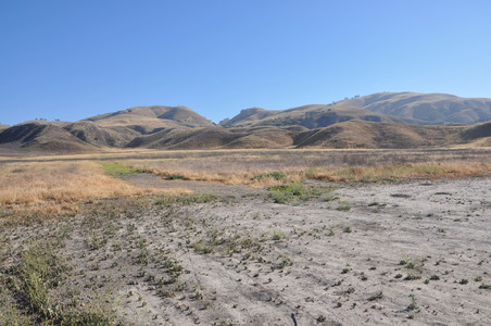 Enlarge photo 66
