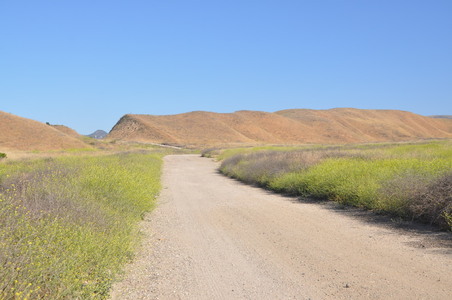 Enlarge photo 72