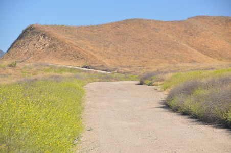Enlarge photo 73