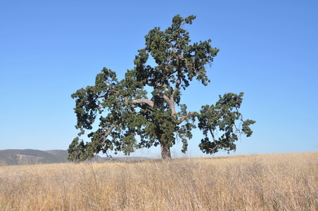 Enlarge photo 74