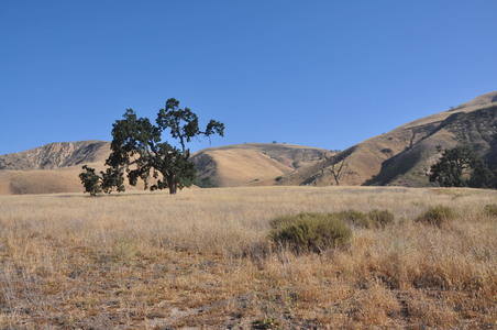 Enlarge photo 79
