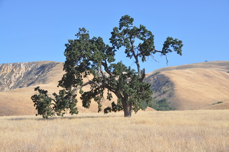Enlarge photo 80