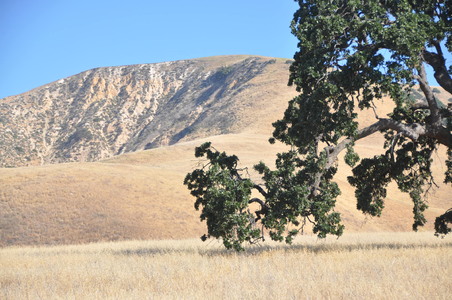 Enlarge photo 81