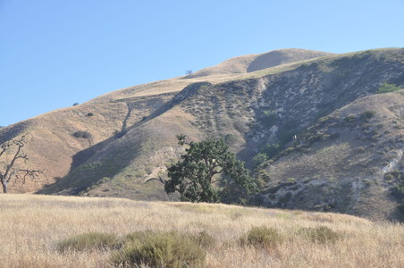Enlarge photo 83