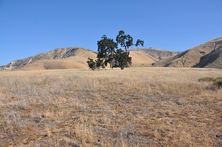 Enlarge photo 84