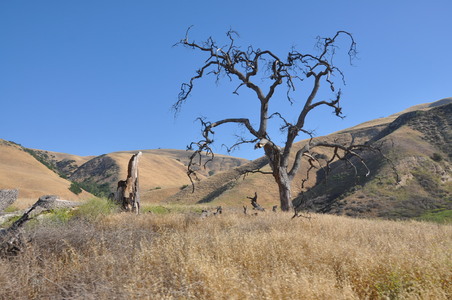 Enlarge photo 88