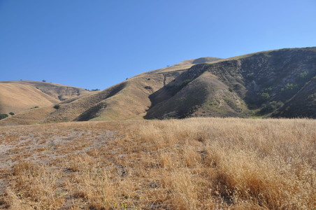 Enlarge photo 89