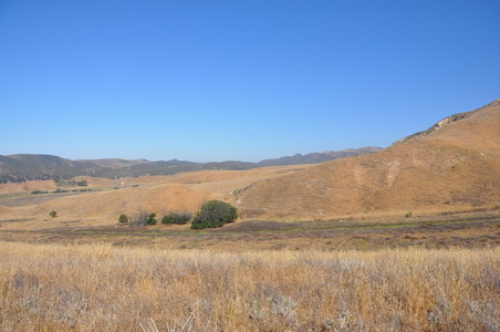 Enlarge photo 90